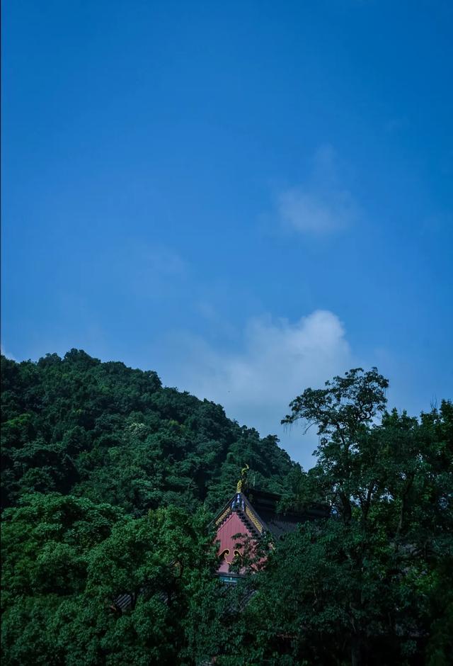 「一波」今日小暑 来一波和小暑有关的唯美图片发朋友圈