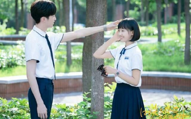 糖分up的"奶茶"剧！甜分超标却不为人所知，这10部你看过了吗