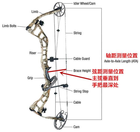 复合弓玩了那么久还不会调弓？想学吗？