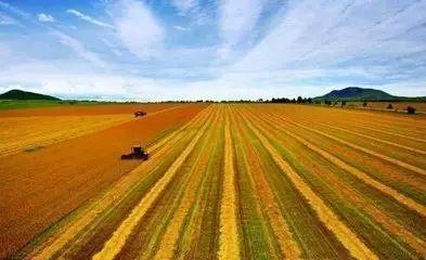 看外资粮商巨头如何布局中国