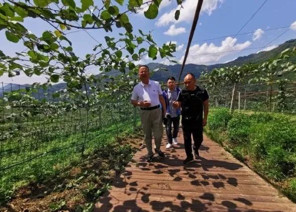 楊凌農(nóng)科，見證小康足跡——2020走出楊凌看示范活動圓滿收官