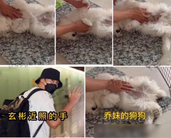 网曝玄彬宋慧乔复合，一起深夜约会遛狗，疑似戴情侣项链