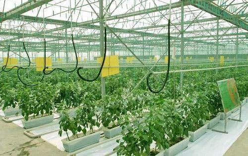 我国将推进农产品线上线下展销；休闲农业面临