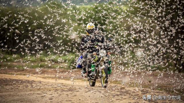 巴铁情况不太好！新冠肺炎疫情还未结束，巴基