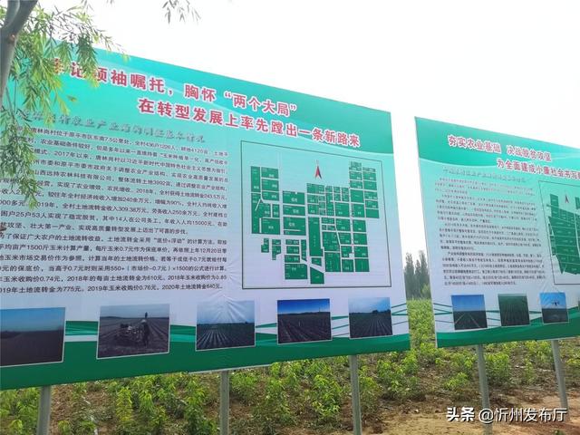 巩固发展"脱贫果" 切实做好"后半篇"