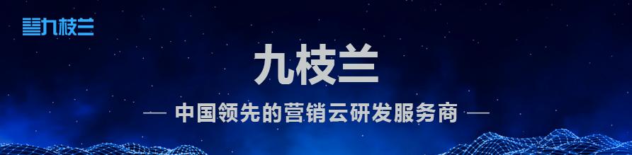 营销人生存之道：团队、策略、技术，助力企业提升营销ROI（下）