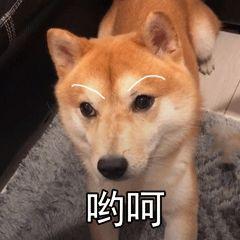 շСá߽񷨵㉕