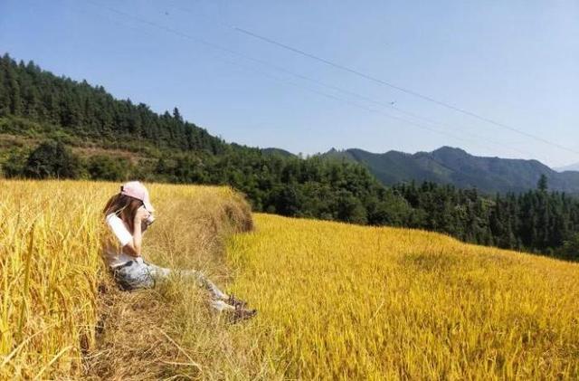 《天道》肖亚文从助理到格律诗“掌门人”，逆