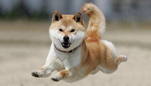 æéåå®¶åº­å»çåç§å¤§åç¬