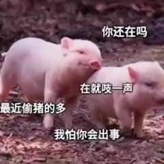 沙雕热门表情包：你是我的小宝贝