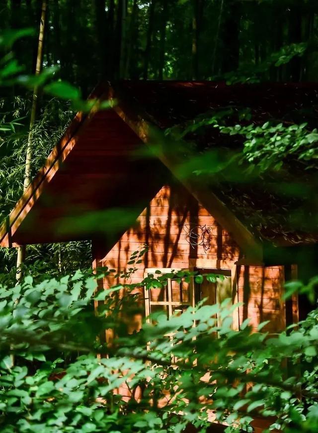 2天嗨够6种玩法，泡温泉、看萤火虫、坐小火车，