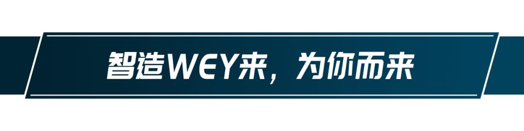 智能配备重装升级，WEY VV6 能成为你的心头好吗？