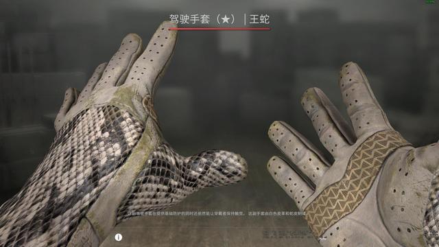 CSGO饰品赏析——18万的皮肤驾驶手套王蛇