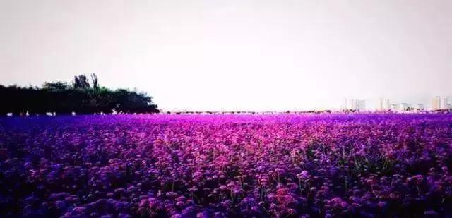 甘肃14市结婚彩礼价目表出炉，这个市简直贵上了