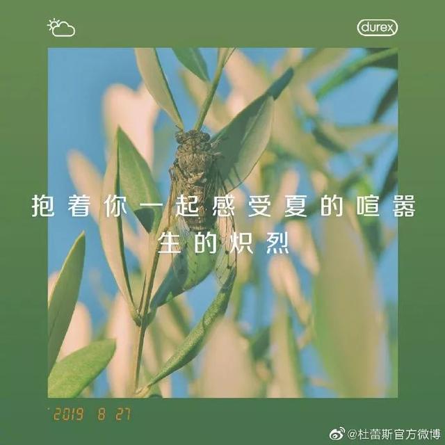 2019，杜蕾斯文案合集