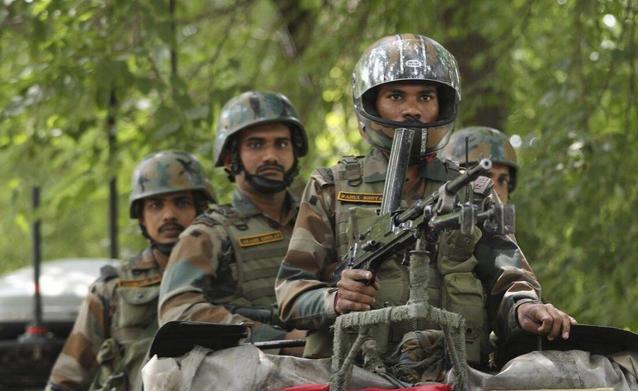 『多地』印度首都多地出现大量蝗虫群 密密麻麻遮天蔽日