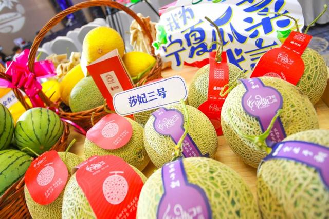 第五屆全國(guó)知名蔬菜銷(xiāo)售商走進(jìn)寧夏