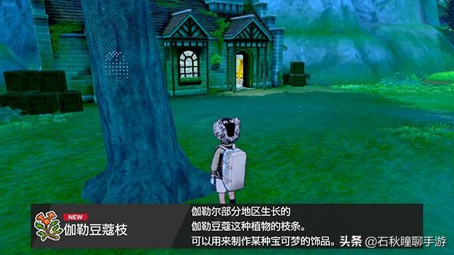 《宝可梦剑盾》铠之孤岛全内容攻略 附铠岛新增宝可梦图鉴