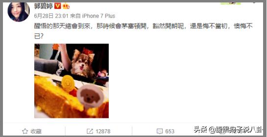 仝卓再撕郑云龙、柯震东千万买复出、黄毅清被判15年，一周瓜总结