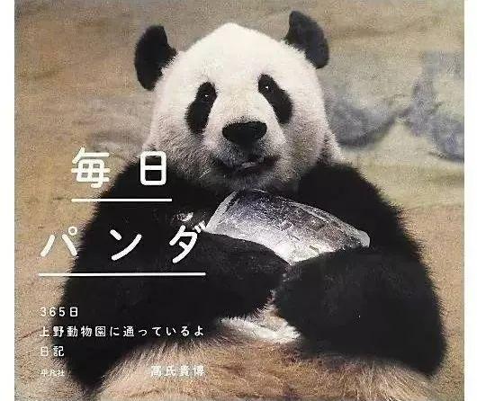 想和熊猫结婚、为看熊猫放弃妹妹婚礼！网友：这很日本