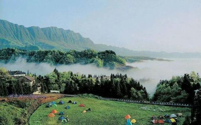 雅安除了“雅雨”、“雅鱼”、“雅女”，还有雅安职业技术学院