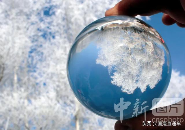 黑龙江不仅有大米