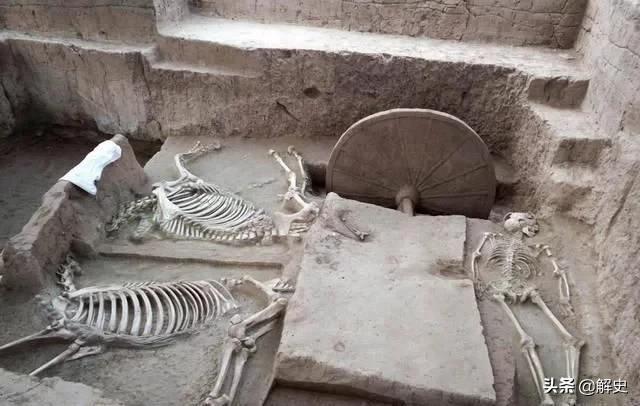 盖猪圈挖出186具尸体，村民吓坏！专家鉴定后却说，是秦始皇祖坟