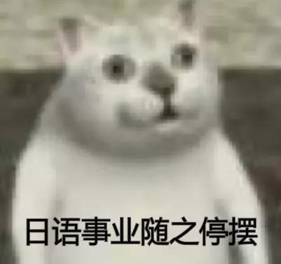 学不会日语有多好笑？光塑料日语就够我笑一年了...