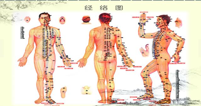 经络即是气血，经络的特点、作用是什么？