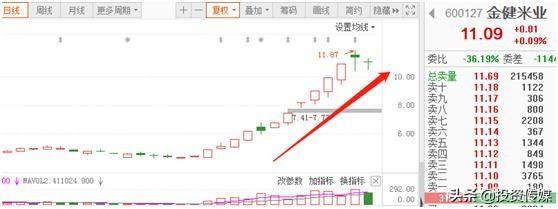 中国股市：这些潜力龙头股，未来有望走出50倍甚
