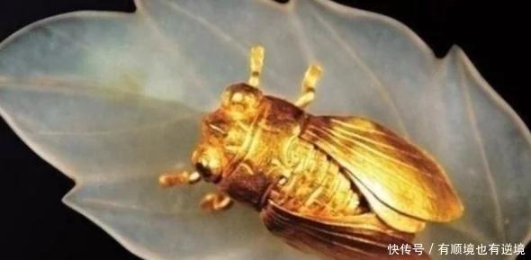 江苏发掘1男4女合葬墓，出土一只“金蝉”，价值