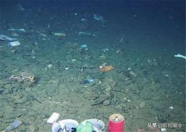马里亚纳海沟6000米下出现新物种，科学家却“为