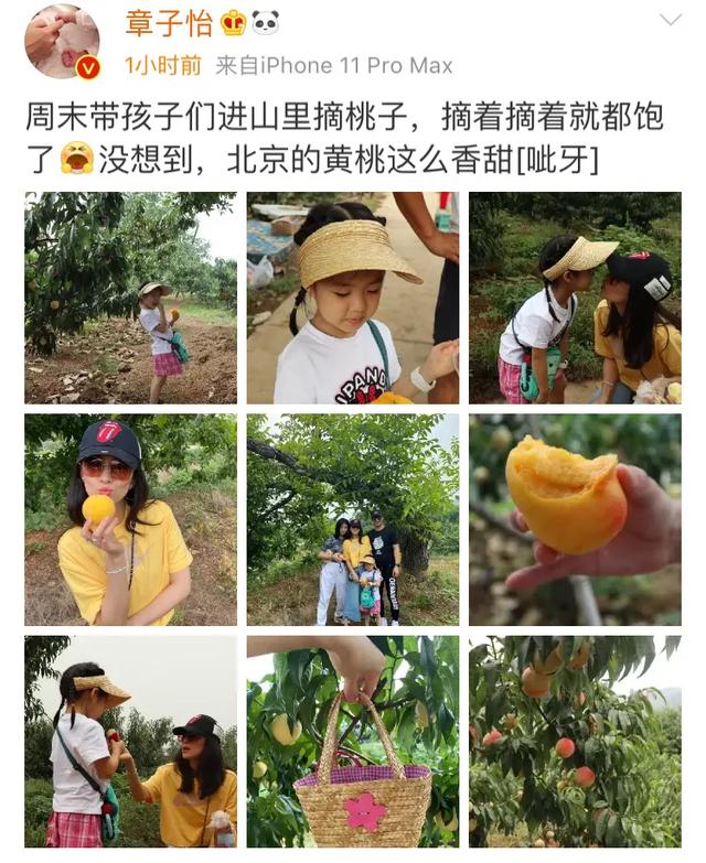 汪峰一家四口上山摘桃，章子怡小腹平坦，小苹果身高赶上妈妈