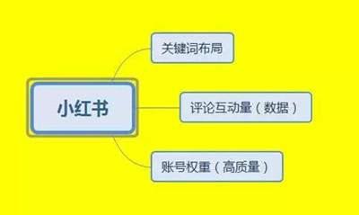 小红书运营推广实战经验分享 实操不到17万阅读涨粉500+