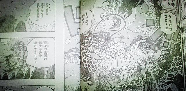 海贼王987话：全面战争！猫蝮蛇变身了，凯多龙形爆发，要挨揍了