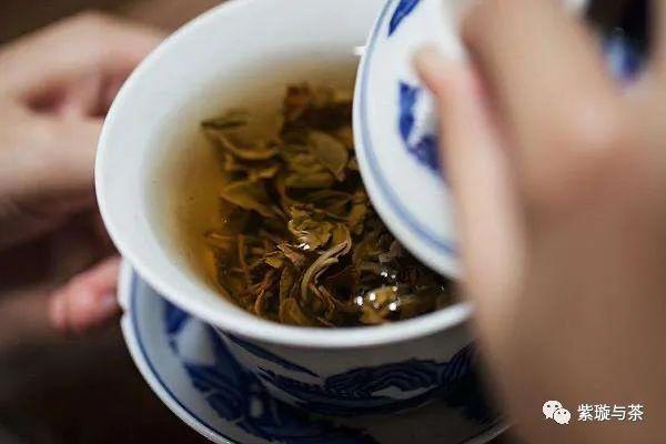隔夜茶能喝吗？