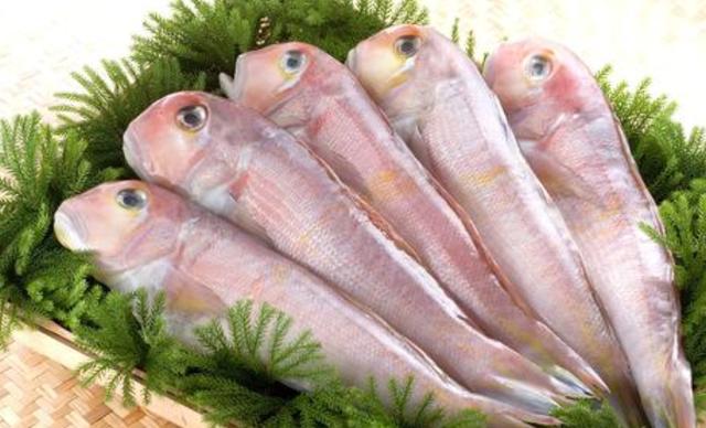 买鱼专挑这6种野生鱼，目前没办法人工养殖，营养好吃，贵也值
