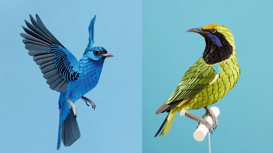 国外小姐姐玩转纸艺，用生活材料打造美丽的鸟