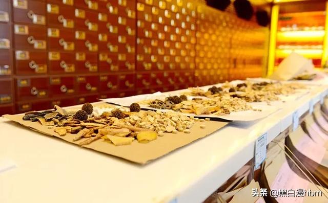 康养旅行｜医药健养一站式养生城——以岭健康城