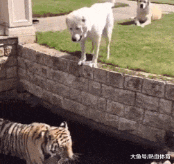 搞笑GIF：你不好好学习打扰人家干嘛啊