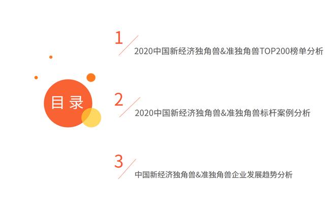 中国新经济独角兽&准独角兽TOP200榜单解读及标杆企业研究报告