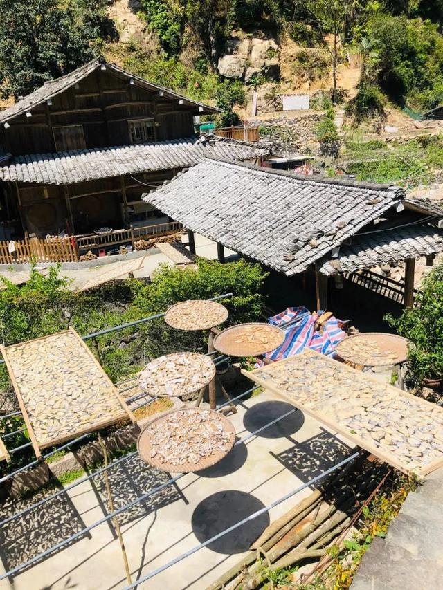 《奔跑吧》又翻红，新挖到的宝藏旅行地好吃好