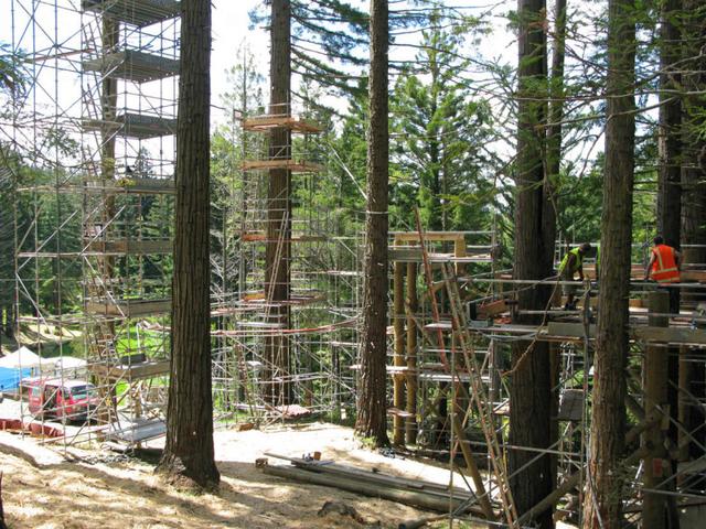 新西蘭黃色樹上餐廳