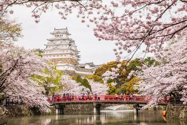 日本最值得去的世界遗产，点开这篇就够了