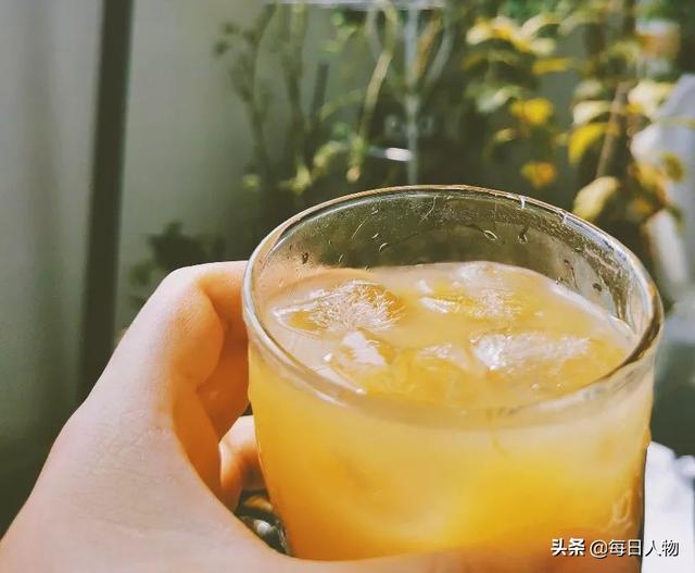 豆苗、番茄、迷迭香，在阳台，你可以种出一百种好滋味