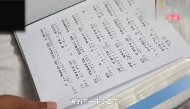 面筋哥：从喂猪到流浪歌手，从表情包到国民岳父