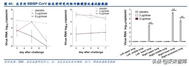 新冠疫苗专题报告：未来市场空间广阔，多技术路径百家争鸣