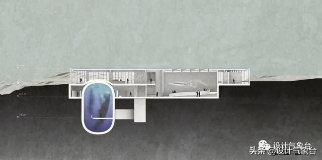 BIG惜败！再牛的方案也比不过一头鲸