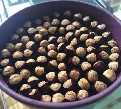 这两种“种子”别丢，说不准还会有意外惊喜！