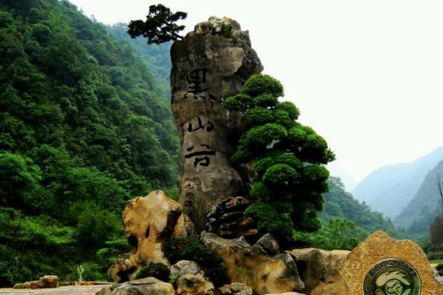 重庆最值得一去的景区，夏天的避暑胜地，被誉为“西南神农架”